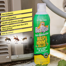 Load image into Gallery viewer, Non-Conductive Wasp & Hornet Killer