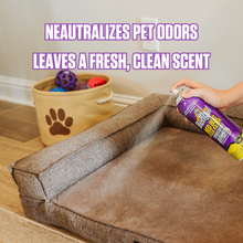 Load image into Gallery viewer, Bed Bug & Flea Killer