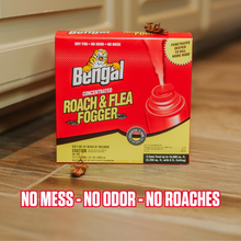 Load image into Gallery viewer, Concentrated Roach & Flea Fogger