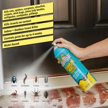 Load image into Gallery viewer, Crawling Insect Killer