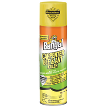 Load image into Gallery viewer, Carpenter Bee & Ant Killer
