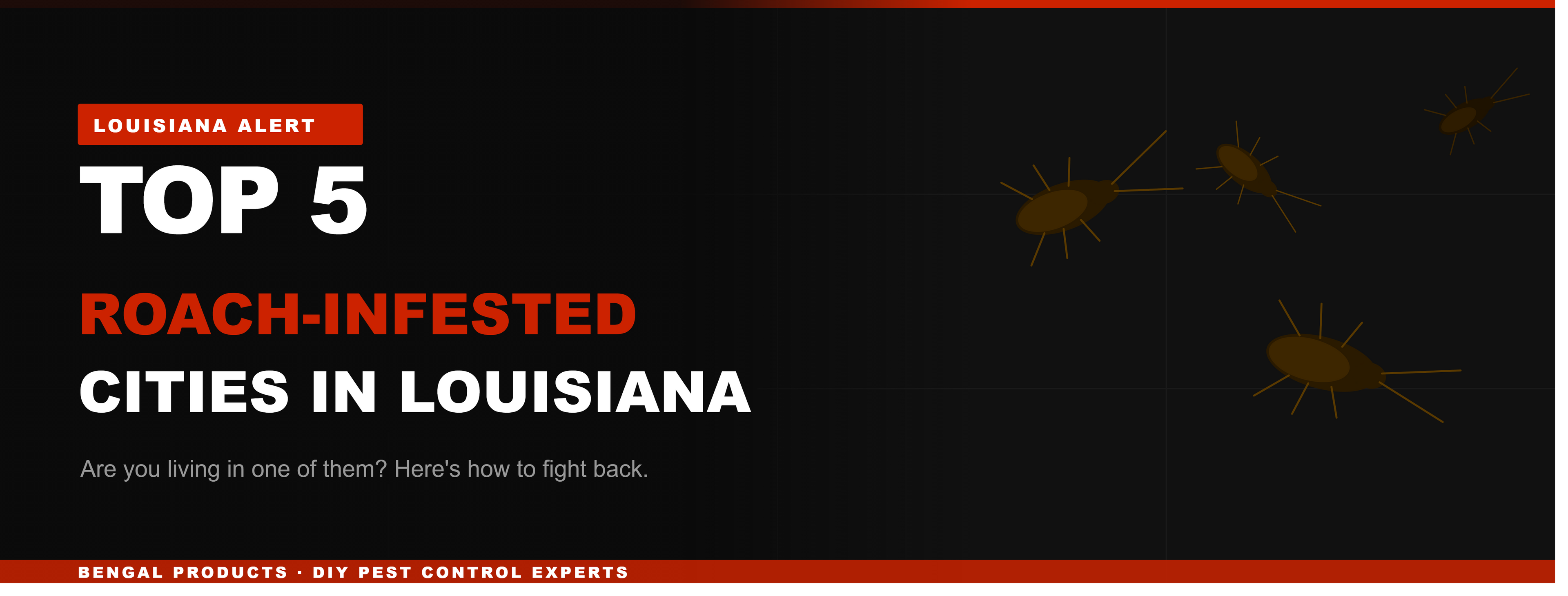 Top 5 Most Roach-Infested Cities in Louisiana — And How to Fight Back