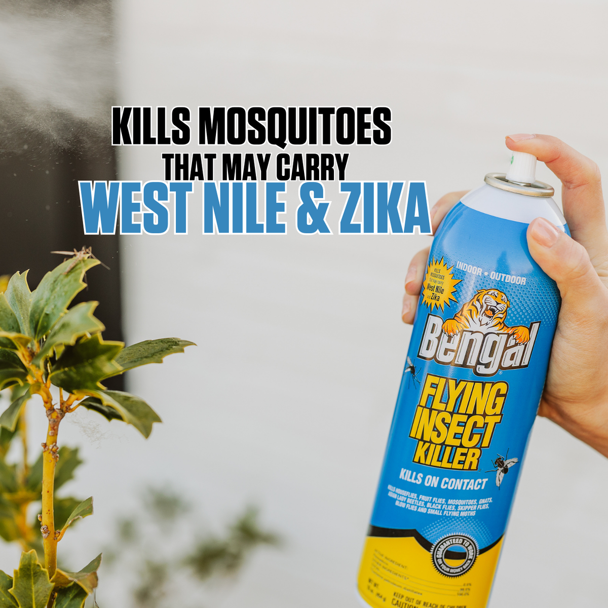Bengal Flying Insect Killer 2 | Bug Spray for Indoor & Outdoor Use ...