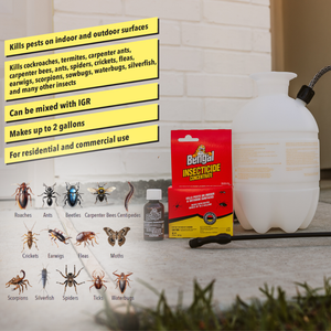 Bengal Insecticide Concentrate | Effective Insecticide for Indoor ...