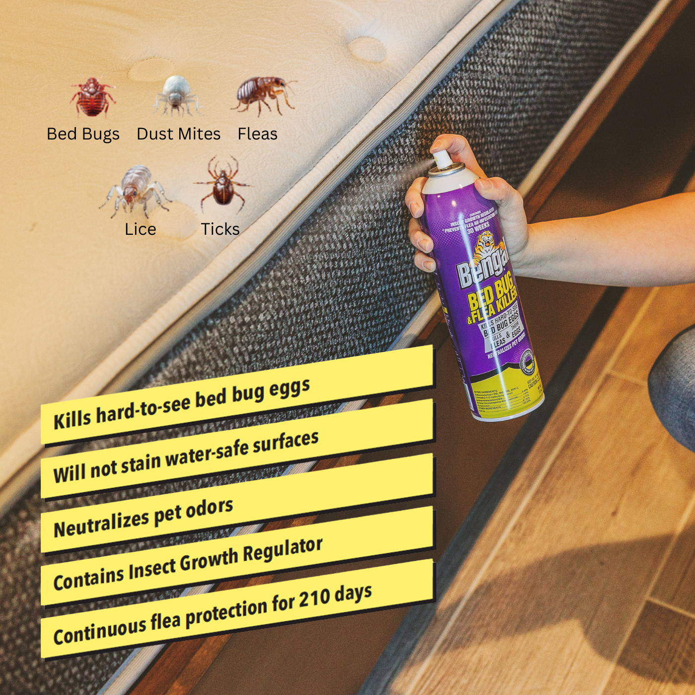 Bed Bug Spray Vs Powder Which Works Better: Ultimate Effectiveness Showdown
