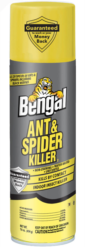 Bengal Ant & Spider Killer 2 | Bug Spray for Indoor – Bengal Products