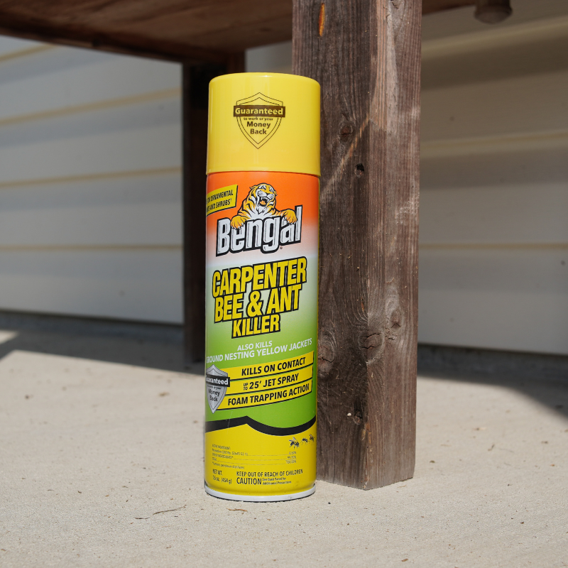 Carpenter Bee & Ant Killer