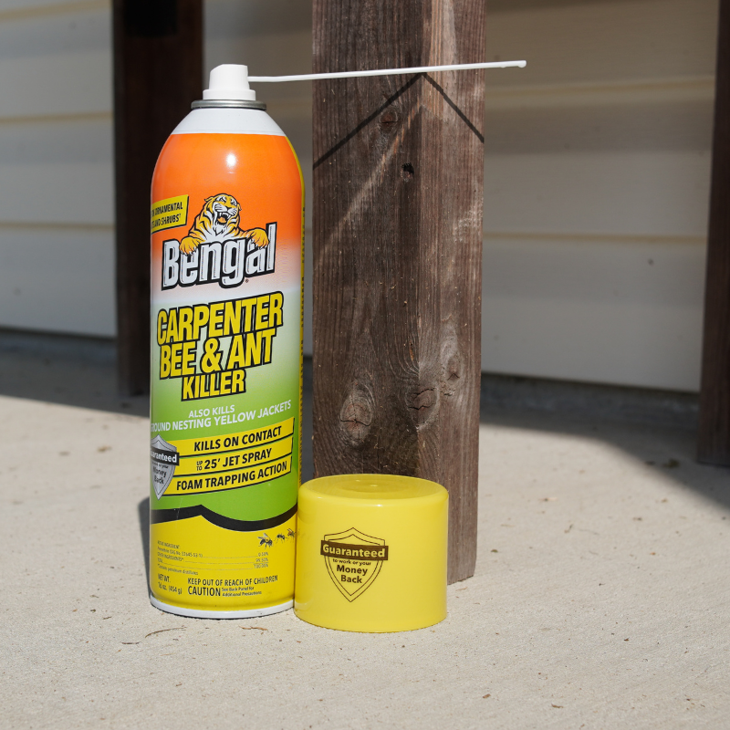 Carpenter Bee & Ant Killer