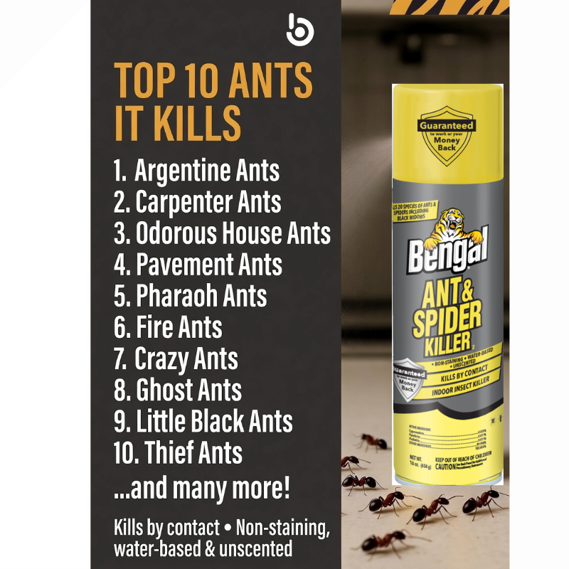 Ant & Spider Killer 2