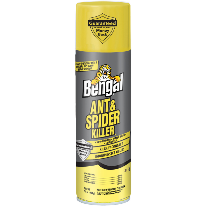 Ant & Spider Killer 2