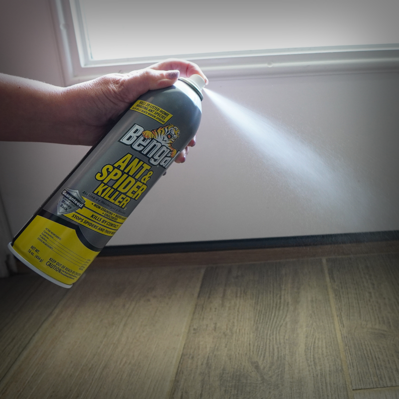 Ant & Spider Killer 2