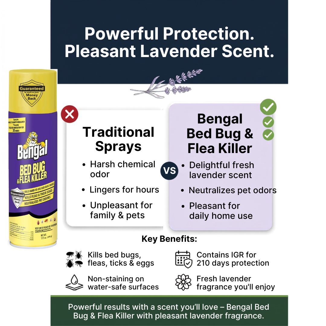 Bed Bug & Flea Killer
