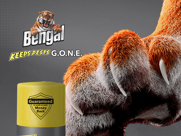 Bengal Ant & Spider Killer