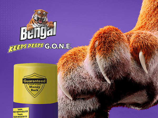 Bengal Bed Bug & Flea Killer