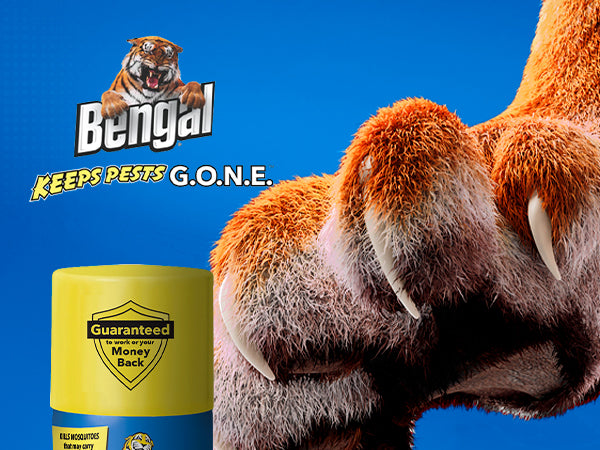 Bengal Flying Insect Killer