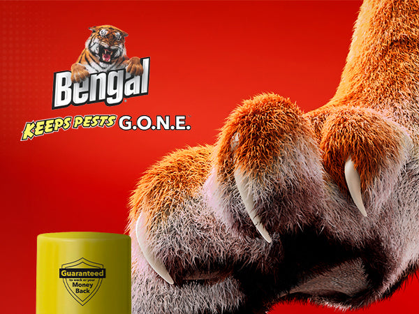 Bengal Gold Roach Spray