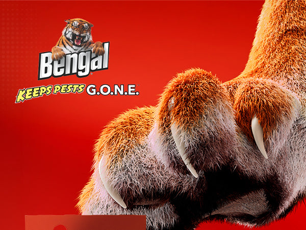 Bengal Insecticide Concentrate
