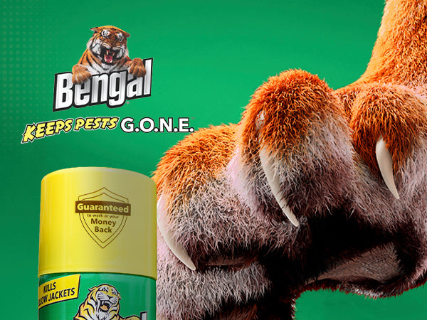 Bengal Non-Conductive Wasp & Hornet Killer
