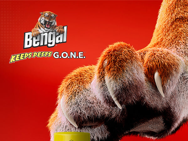 Bengal Roach Spray