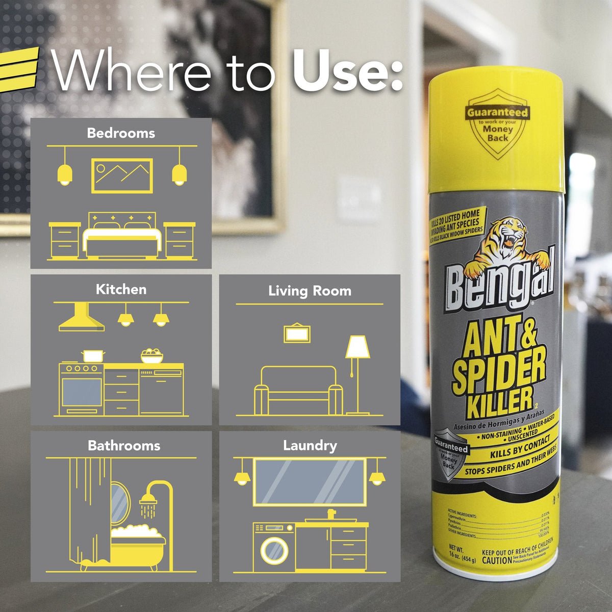 Bengal Ant & Spider Killer where to use