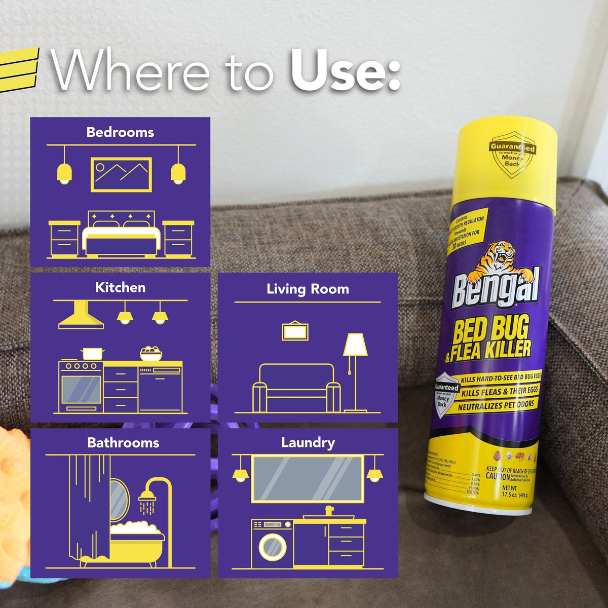 Bengal Bed Bug & Flea Killer where to use