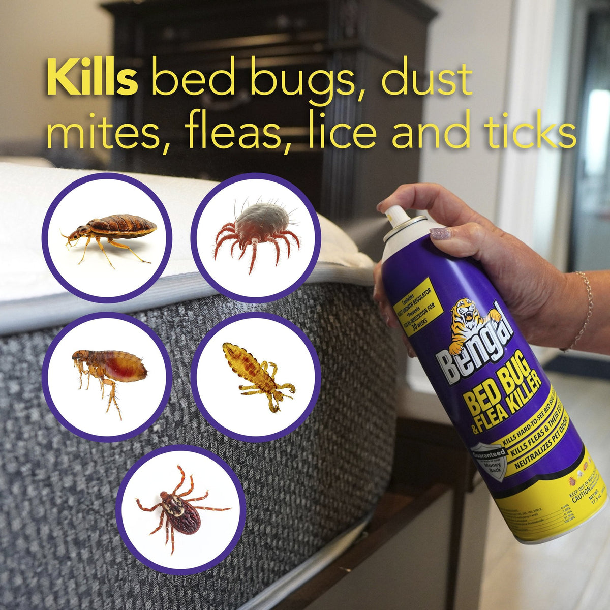 Bengal Bed Bug & Flea Killer pests it kills