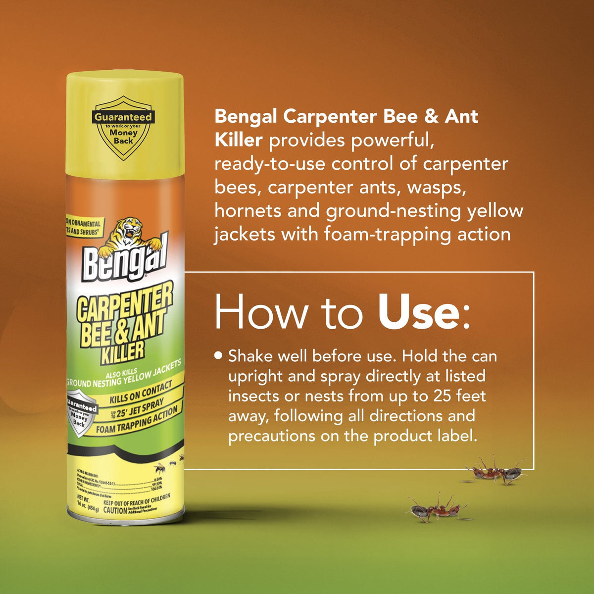 Bengal Carpenter Bee & Ant Killer how to use