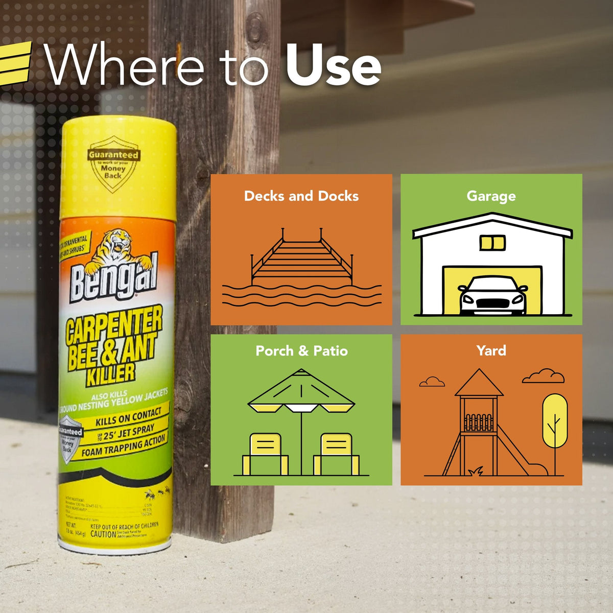 Bengal Carpenter Bee & Ant Killer where to use