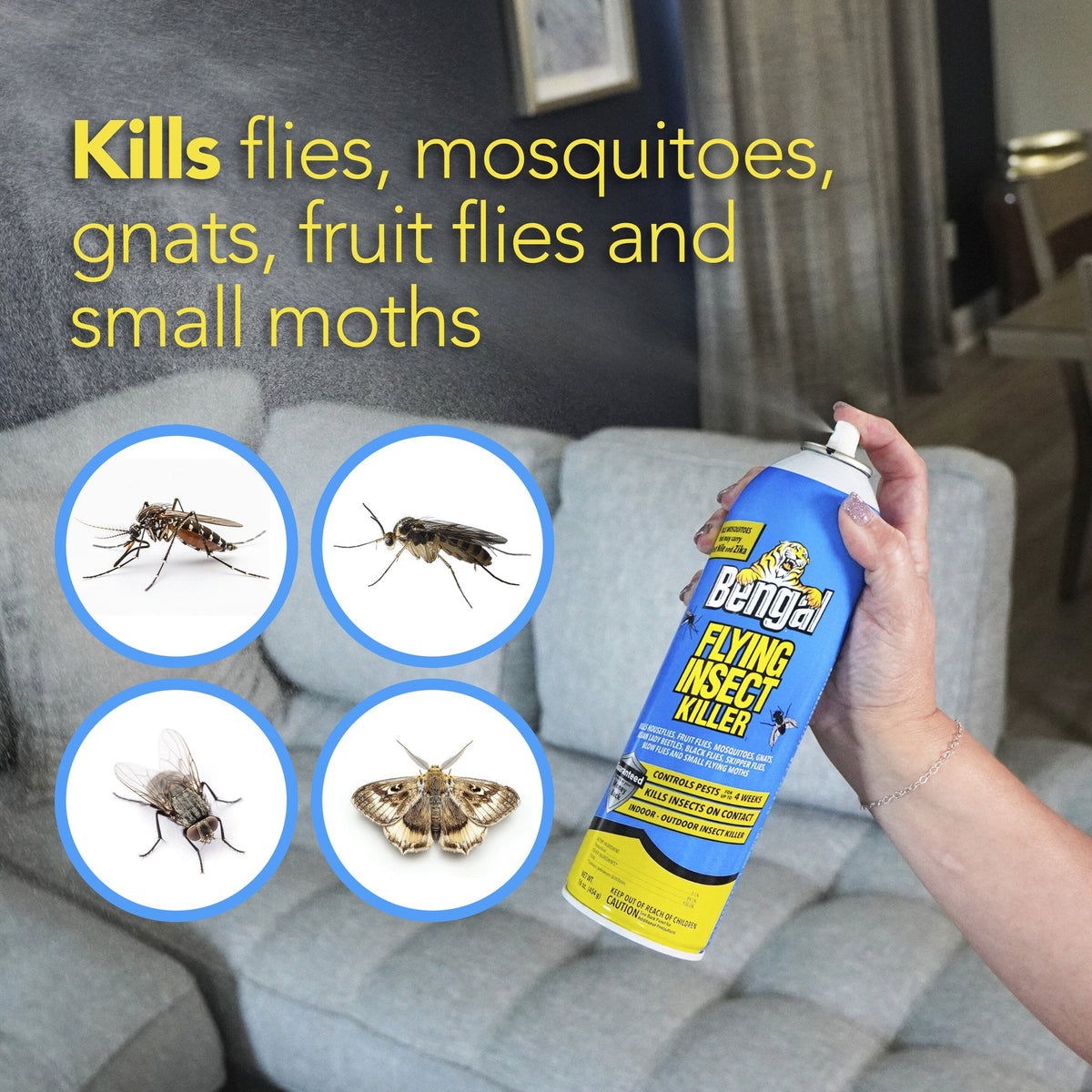 Bengal Flying Insect Killer insects it kills