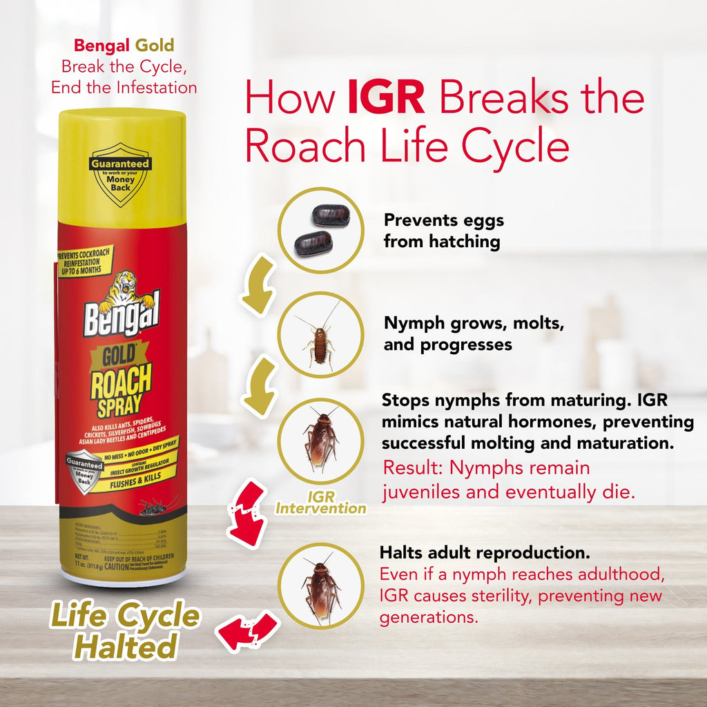 How IGR breaks the roach life cycle