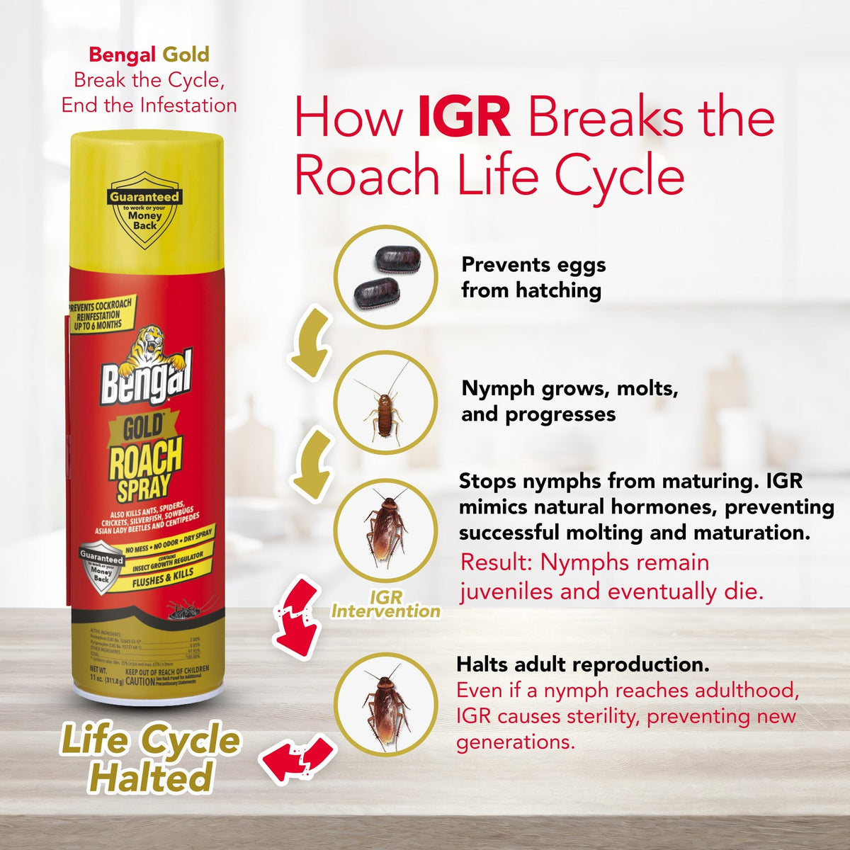 How IGR breaks the roach life cycle
