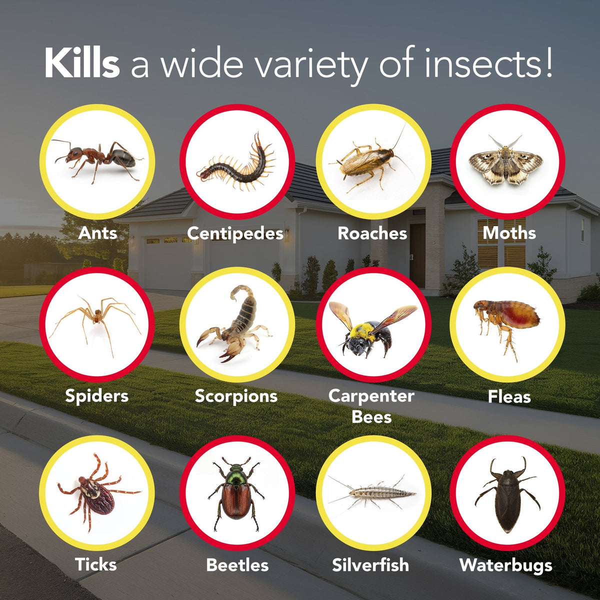 Bengal Insecticide Concentrate insects it kills