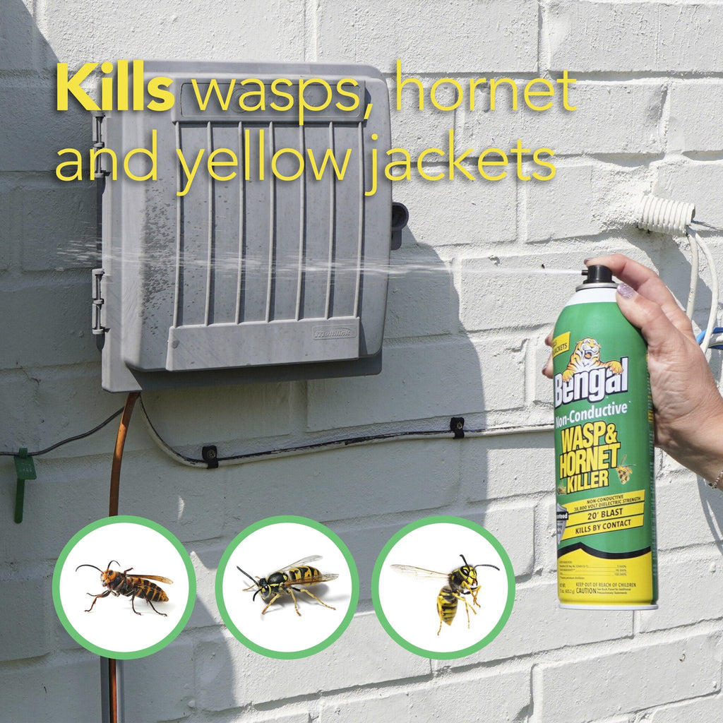 Bengal Non-Conductive Wasp & Hornet Killer insects it kills