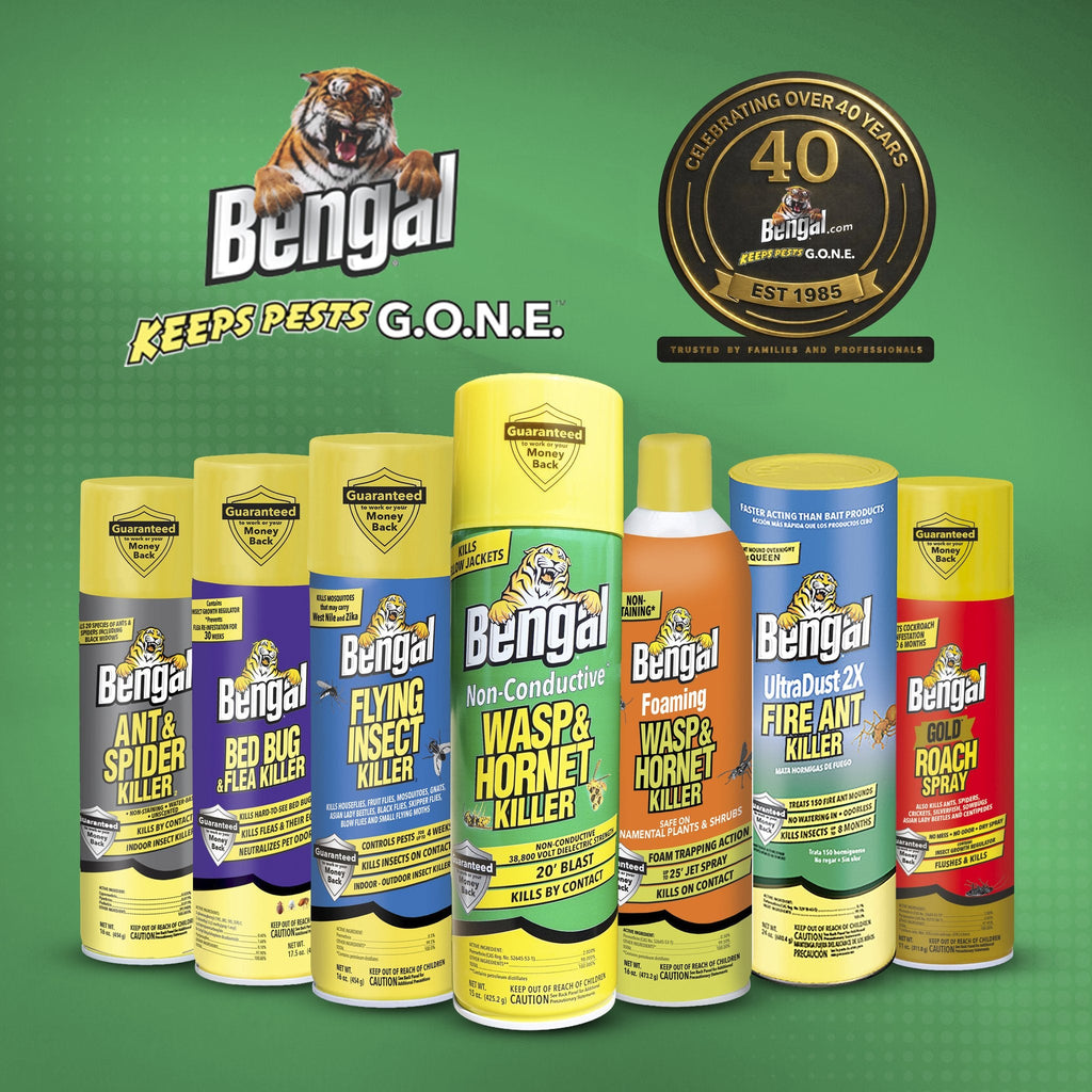 Bengal product lineup
