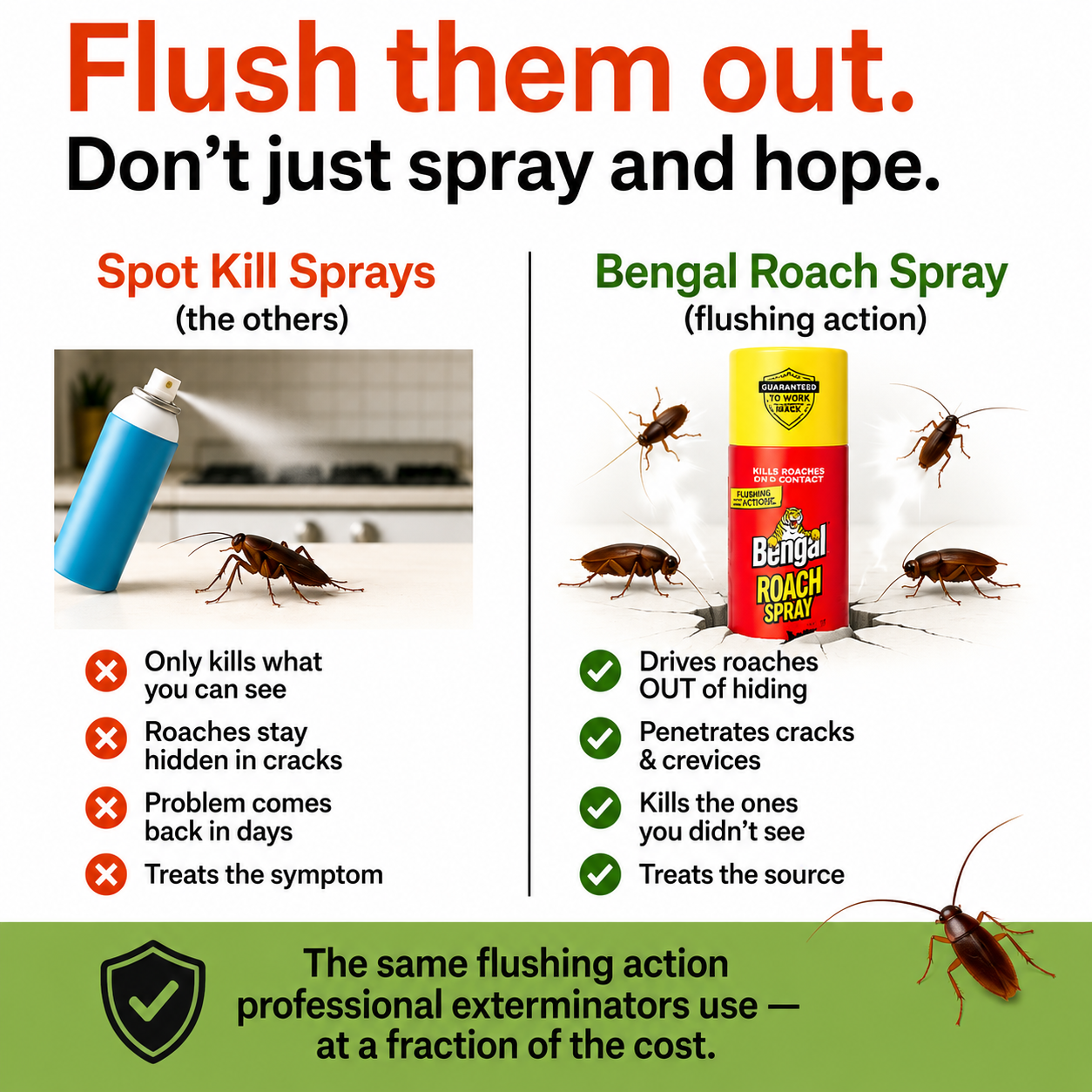 Roach Spray