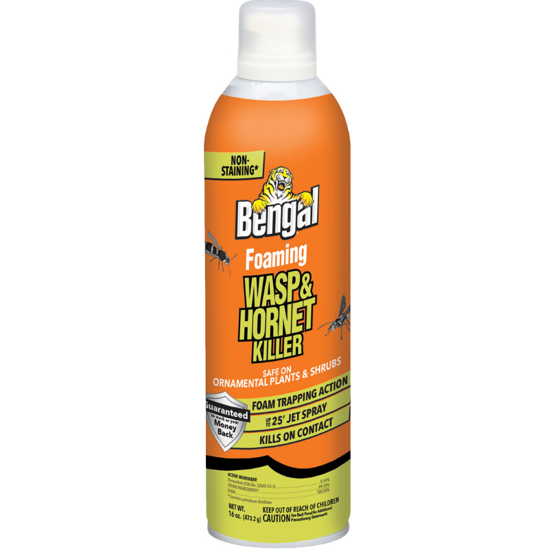 Foaming Wasp & Hornet Killer