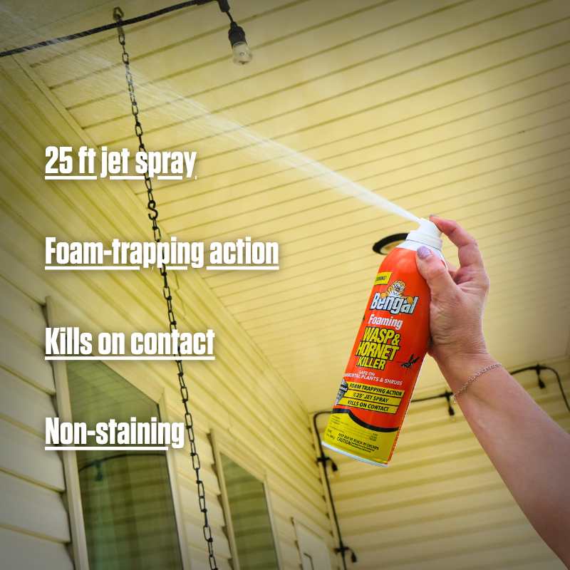 Foaming Wasp & Hornet Killer