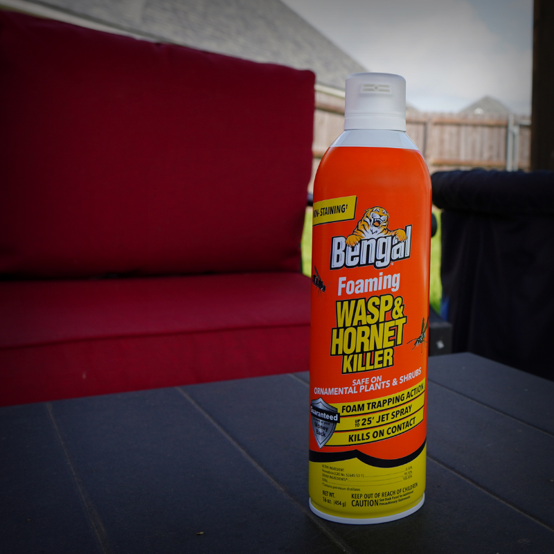Foaming Wasp & Hornet Killer