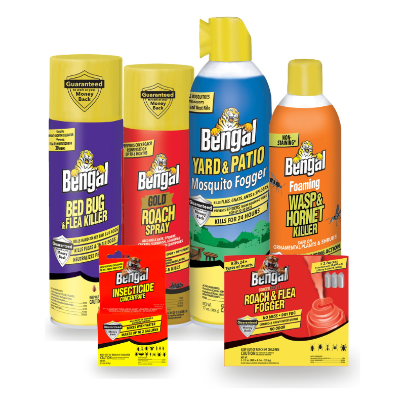 The Ultimate DIY Pest Control Expert