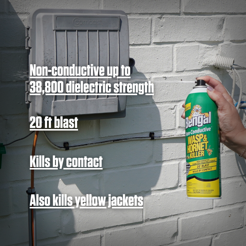 Non-Conductive Wasp & Hornet Killer