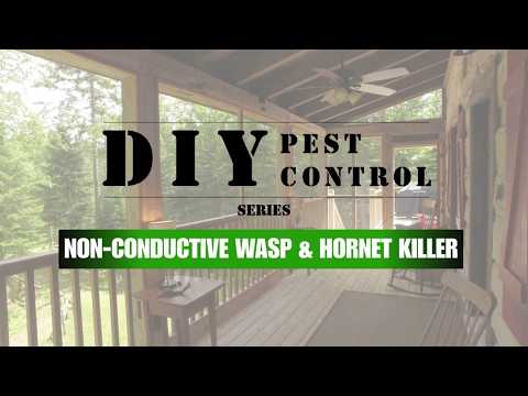 Non-Conductive Wasp & Hornet Killer