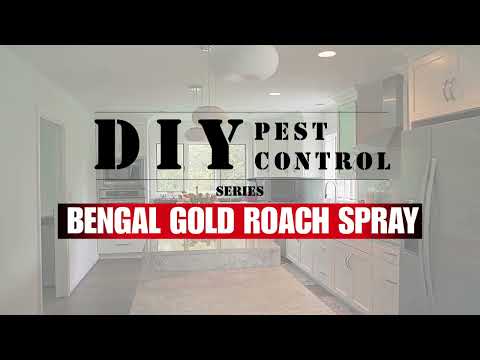 Gold Roach Spray