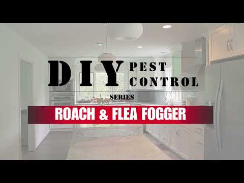 Concentrated Roach & Flea Fogger