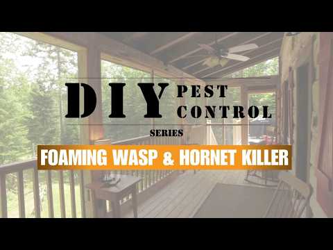 Foaming Wasp & Hornet Killer