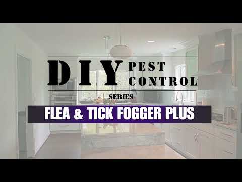 Bed Bug & Flea Killer